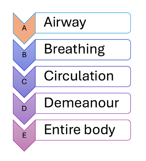 <p>The <u>ABCDE Approach</u> is <mark data-color="#decfcf" style="background-color: rgb(222, 207, 207); color: inherit;">a systematic, sequential tool used in emergency medical and trauma care to rapidly identify and treat life-threatening conditions</mark></p>
