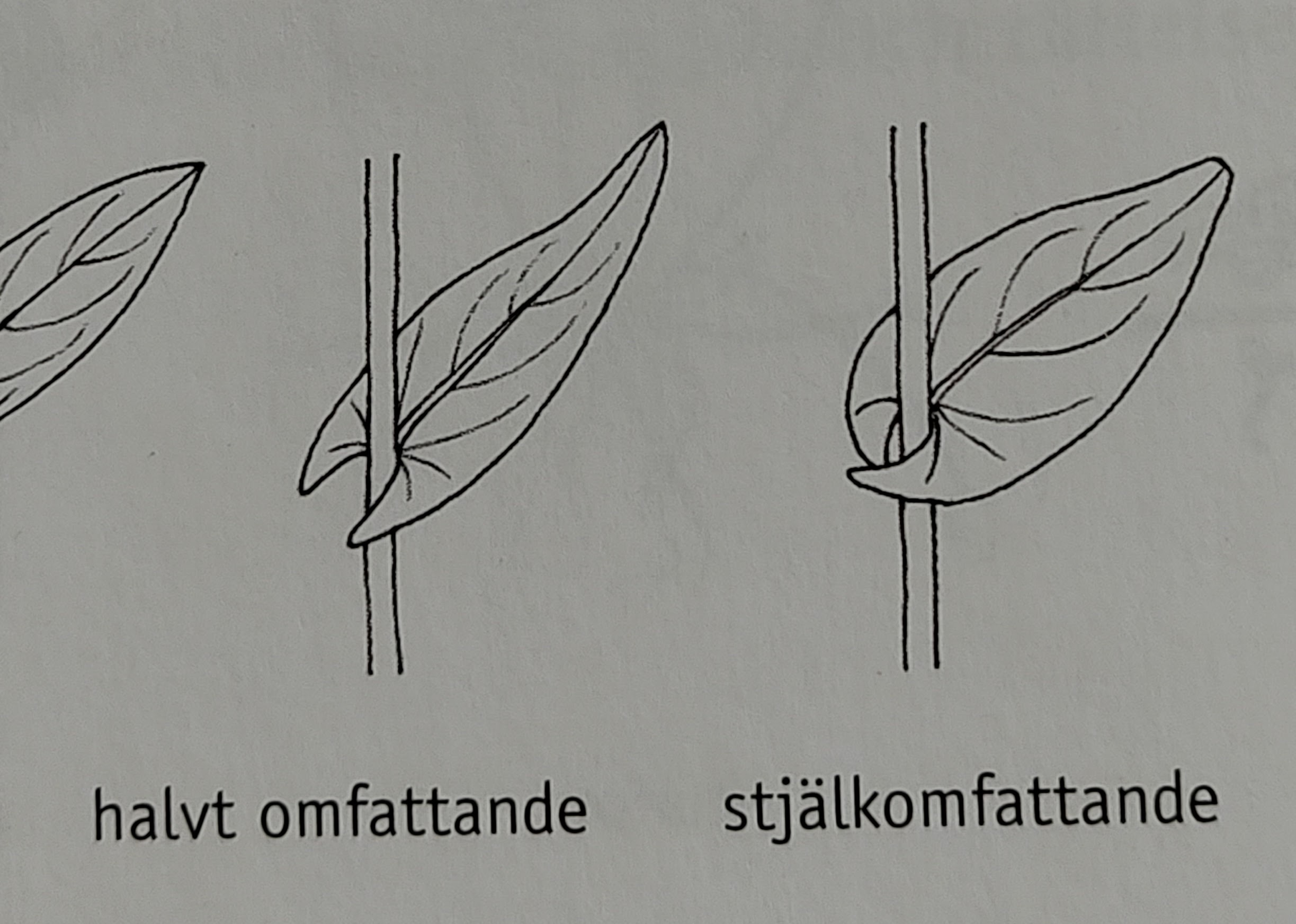 <p></p>