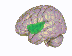 <p>What does the highlighted area represent?</p>