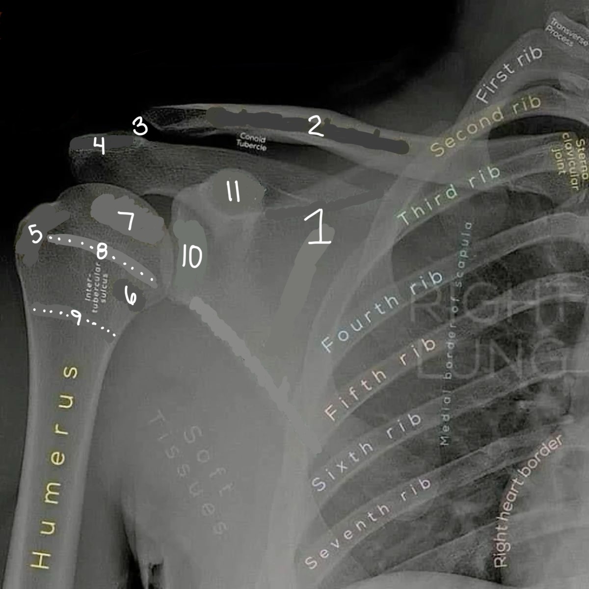 <p>9</p>