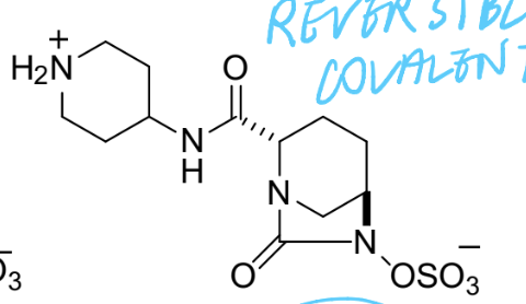 <p>DABCO-based inhibitor (Reversible covalent)</p>