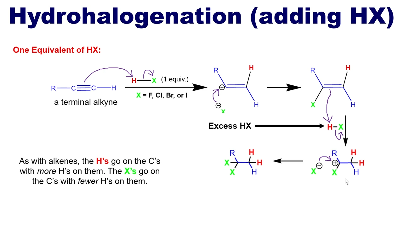 <p>as with alkanes, the H’s go on the C’s with more H’s and the X’s go on the C’s with fewer H’s on them </p>