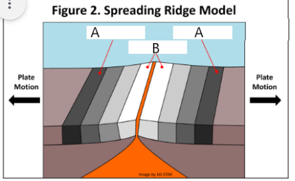 <p>Which label is the NEWEST rock?</p>