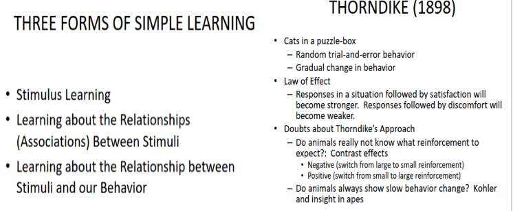 <p><strong>Thorndike’s Law of Effect</strong></p>