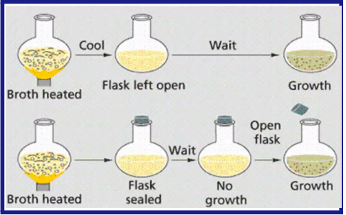 <ul><li><p>Suggested that microorganisms from the air probably had entered Needham's solutions after they were boiled</p></li><li><p>proposed that air carried microorganisms to the culture medium </p></li><li><p>showed that nutrient fluids heated after being sealed in a flask did not develop microbial growth</p></li></ul><p></p>