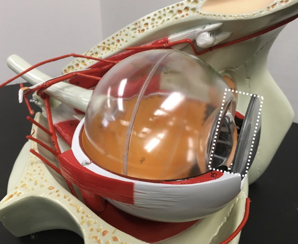 <p><span>name the SPACE indicated</span></p>