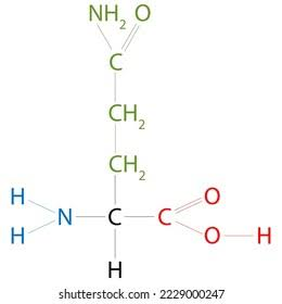 <ul><li><p>Polar side chain hydrophilic</p></li></ul><p></p>