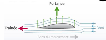 <p>L’aile force l’air à suivre un chemin différent au-dessus et au-dessous. Quand l’écoulement est plus rapide au-dessus, la pression y diminue : on obtient une différence de pression qui produit une force vers le haut = portance. L’oiseau ajuste l’angle d’attaque et l’écartement des plumes pour contrôler portance, vitesse et direction.</p>
