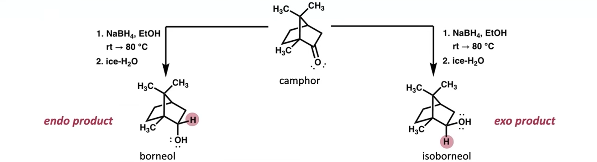 <p>Draw the mechanism for both outcomes:</p>