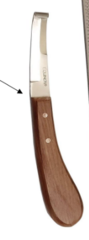 <p>What is this farrier tool? What is its purpose?</p>