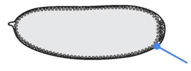 <p>What part is shown in the figure?</p>