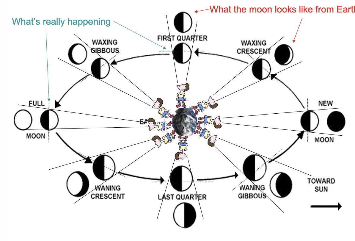 <ul><li><p>moon appears different over the course of one month due to its orbit around the earth</p></li><li><p>we (from earth) only see certain parts of the moon lit up by the sun at different times</p></li></ul><p></p>