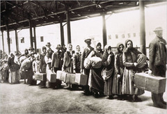 <p>The New Immigrants of the 1880s came from southern and eastern Europe. They came from countries with little history of democratic government, where people had grown accustomed to harsh living conditions. Some Americans feared that the New Immigrants would not assimilate to life in their new land. They began asking if the nation had become a melting pot or a dumping ground.</p>