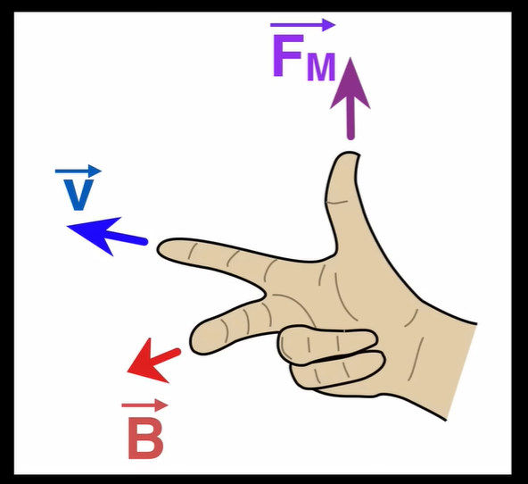 <p>By using the right hand rule</p>