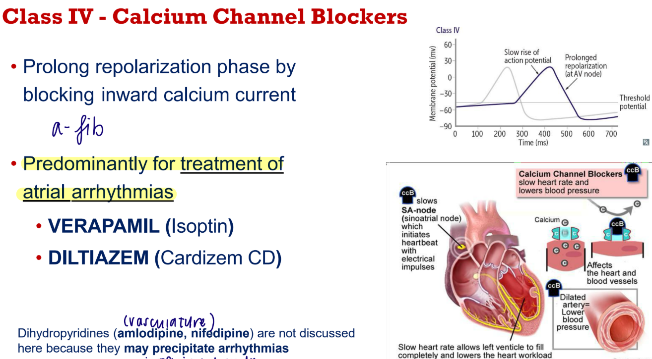 <p>blocking inward calcium current → calcium channel blockers predominantely used for atrial arrythmias </p><ul><li><p>Verapamil</p></li><li><p>Diltiazem</p></li></ul><p></p>