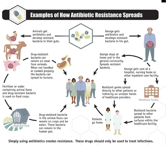 <p>- Multi-resistant Salmonella infections are a major public health threat</p><p>- Antimicrobial resistance in Salmonella spreads through humans, the food chain and the environment</p><p>- One Health is an integrated, unifying approach that aims to sustainably balance and optimise the health of people, animals and ecosystems</p>