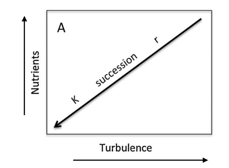 <p>It is a model that illustrates how succession and r and k selection functions in ecosystems with varying levels of nutrients and turbulence. The diagonal shows main succession from nutrient rich, turbulent waters to calm, nutrient poor waters</p>