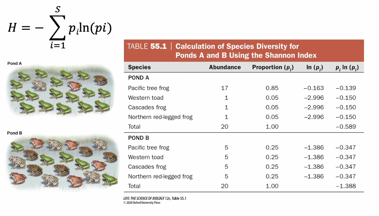 <p>Put steps here: </p><p><span>20 individuals in the community. Sub is 17/20 and 1/20 respectively for e sub i. Need to equal one when they add up. Middle two colums multiplied to get the last colum. Add up all of the values and get the negative of that number (far right top). Greater than zero so at least somewhat diverse. </span></p><p><span>But essentially you just add, divide each one, ln each one, and multiply ln x the dividend prod , add those up, make the negative un-negative.</span></p>