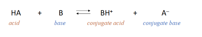 <p>Bronsted-Lowry acids can donate H ions</p><p>Bronsted-Lowry bases can accept H ions</p>