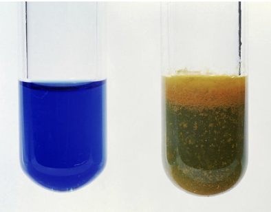 <p>What does a brown/red precipitate in Fehling’s test mean?</p>
