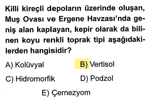 <p>Eski göl tabanlarındaki killi depolardır. Kurak mevsimde çatlayan toprağa üstten dökülen malzemeler, yağışla birlikte şişerek tekrar yukarı çıkar. Bu yüzden "dönen toprak" da denir.</p>