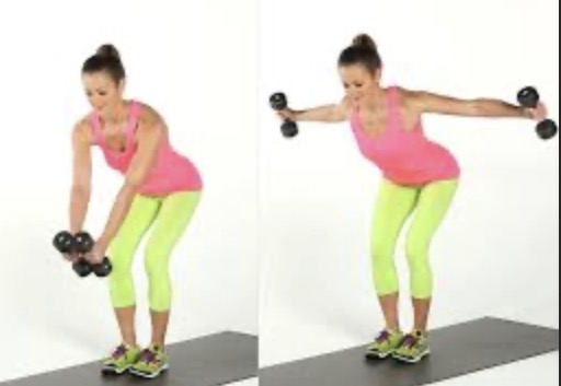 <p>Reverse fly (DB+BB) target muscle</p>