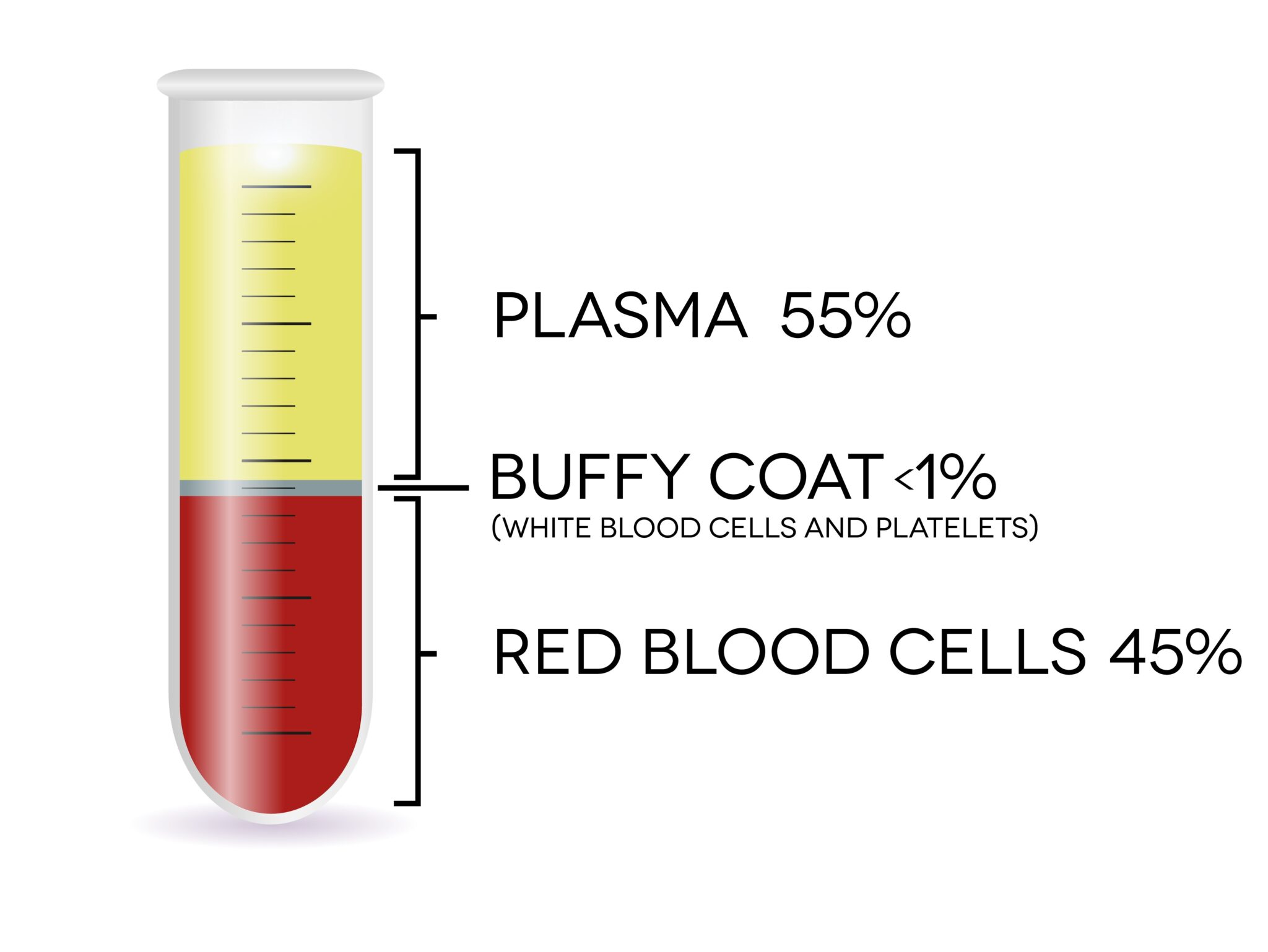 <p><strong><mark data-color="rgba(0, 0, 0, 0)" style="background-color: rgba(0, 0, 0, 0); color: inherit;">a thin, pale-colored (whitish-tan) layer containing concentrated white blood cells and platelets that forms between the plasma and red blood cells when anticoagulated blood is centrifuged</mark></strong>.</p><p><span style="font-family: "Times New Roman"; line-height: normal; font-size: 7pt;"> </span><strong>< 1% of whole blood. Leukocytes and platelets</strong></p>