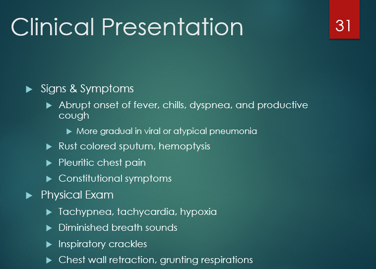 <ul><li><p>abrupt onset of fever, chills, dyspnea, and <strong>productive </strong>cough</p></li><li><p>rust colored sputum, hemoptysis</p></li><li><p>pleuritic chest pain (know your different chest pains!)</p></li></ul><p></p><p><em><sup>pleuritic - sharp pain in chest worse with inspiration/cough</sup></em></p><p><em><sup>cardiac - pressure/squeezing not effected by breathing</sup></em></p>