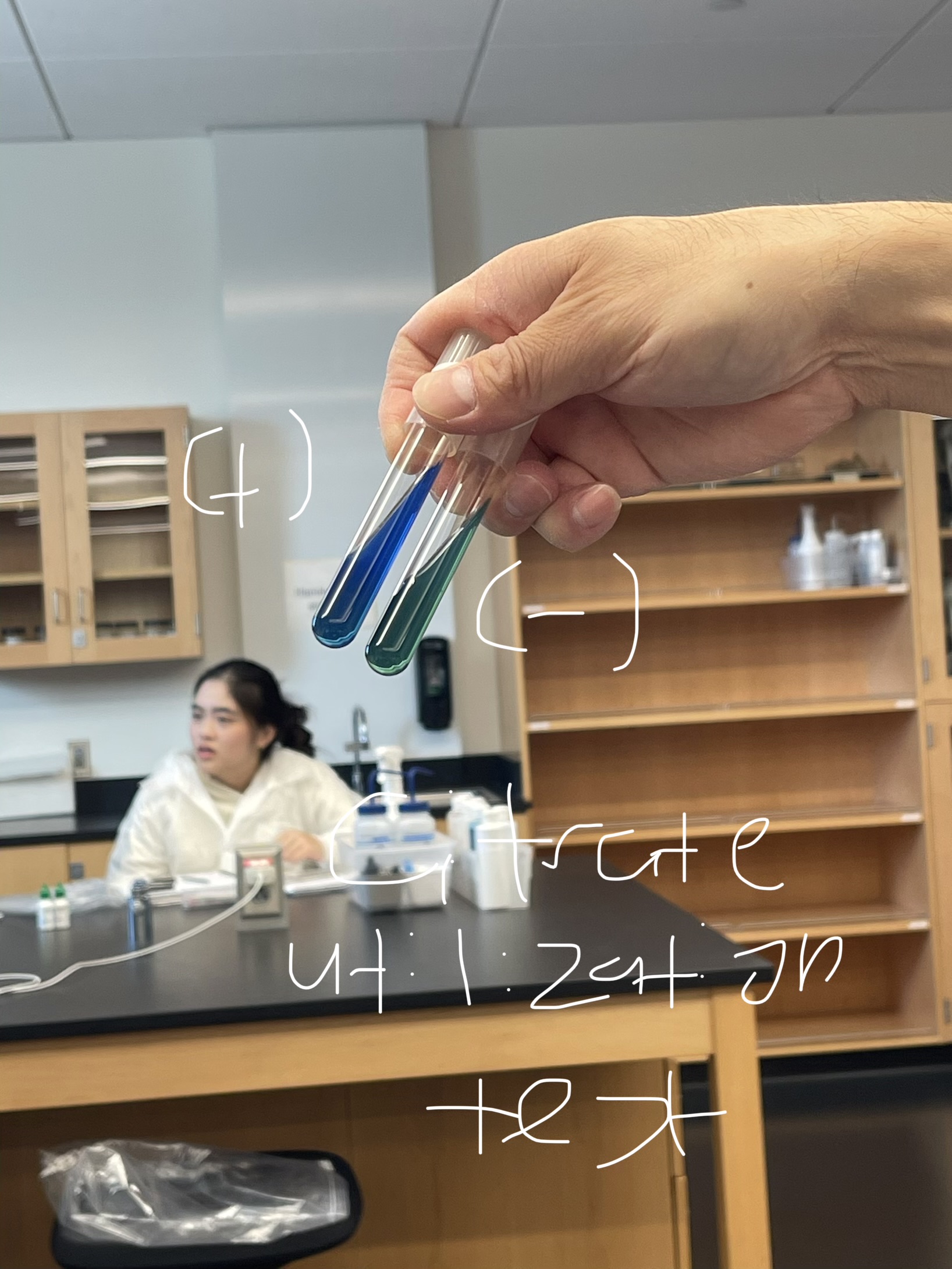 <p><strong>Name: </strong>Citrate Utilization Test</p><p><strong>PURPOSE: </strong>to determine if your organism can use Na citrate as the only carbon source</p><p><strong>MEDIA: </strong>Simmons citrate agar slant (greenish color)</p><ul><li><p><u>Na citrate:</u> only carbon (C) source</p></li><li><p><u>Ammonium phosphate: </u>only (N) nitrogen source</p></li><li><p><span style="color: blue;"><u>Bromthymol Blue</u></span><u>: </u>pH indicator</p></li></ul><p>- Acidic = <mark data-color="#eaec1c" style="background-color: rgb(234, 236, 28); color: inherit;">yellow</mark></p><p>- Neutral = <span style="color: rgb(68, 152, 81);">green</span></p><p>- Basic =<span style="color: rgb(33, 158, 225);"> </span><span style="color: rgb(34, 79, 224);">blue</span></p><p><strong>INOCULATION GUIDE: </strong>loopful streak in slant</p><p><strong>INCUBATION: </strong>37°C for 48 hrs</p><p><strong>THEORY: </strong></p><ul><li><p>If your organism can use Na citrate and ammonia phosphate as the only C and N source (produces ammonia)</p></li></ul><p>—> NH3(basic) - reacts with bromthymol blue</p><p><strong>RESULT: </strong></p><p>(+): growth, <span style="color: rgb(8, 103, 237);">blue</span> (can use Na citrate)</p><p>(-): no growth, <span style="color: rgb(10, 209, 122);">green</span></p><p></p>