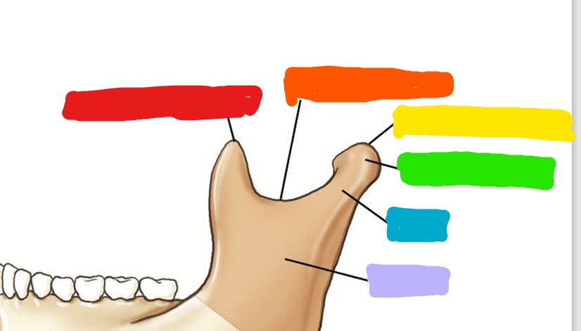 <p>What is Green?</p>