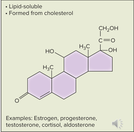 <p>class of hormones that are lipid-soluble and derived from cholesterol</p>
