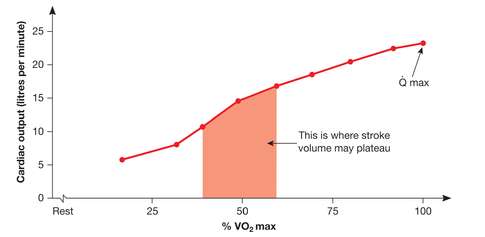 <ul><li><p>cardiac output</p><ul><li><p>the total amount of blood ejected by the left ventricle per minute, measured in L/min</p></li><li><p>Q = HR x SV</p></li><li><p>at rest, 5-6L/min. at maximal intensity exercise, can increase to 20-25 L/min (~5x more than rest).</p></li><li><p>during submaximal intensity exercise, Q increases in a linear fashion in response to intensity, and is a result of both an increase in HR and SV</p></li><li><p>but as exercise increases towards high intensity, SV plateus, and any increase in Q is due to an increase in HR. </p></li></ul></li><li><p>purpose - increase in Q → greater amount of blood pumped per minute → greater amount of blood delivered/transported for diffusion and use by working muscles for aerobic energy production</p></li></ul><p></p>