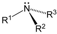 <p>-N</p><p>Primary (1): Nitrogen only bonded to 1 Carbon</p><p>Secondary (2): Nitrogen bonded to 2 Carbons</p><p>Tertiary (3): Nitrogen bonded to 3 Carbons</p>