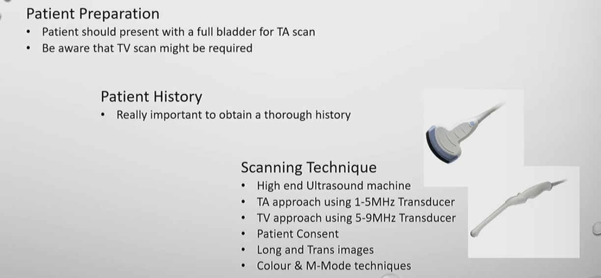 <p>TV → transvaginal scan </p><p>TA → trans abdominal scan </p>