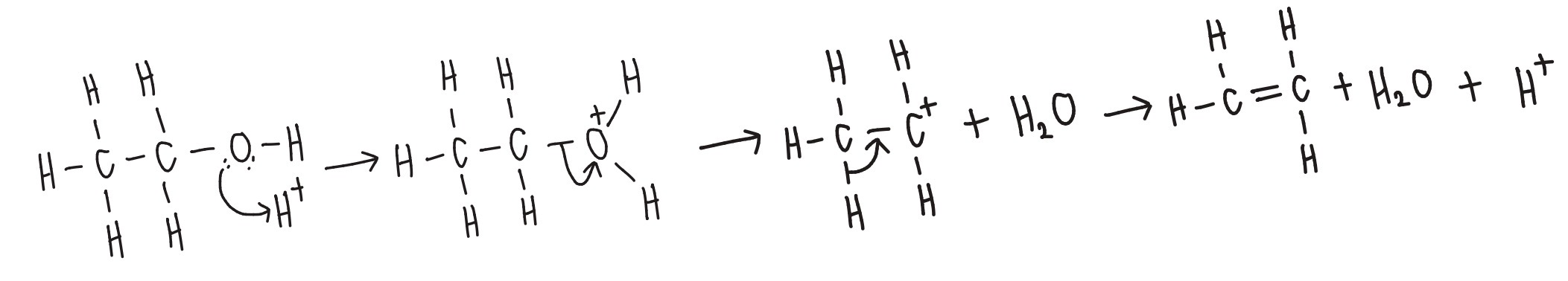 <ul><li><p><strong>Elimination</strong></p></li><li><p><strong>Conditions: </strong>hot, concentrated H<sub>2</sub>SO<sub>4</sub> catalyst</p></li></ul><p></p>
