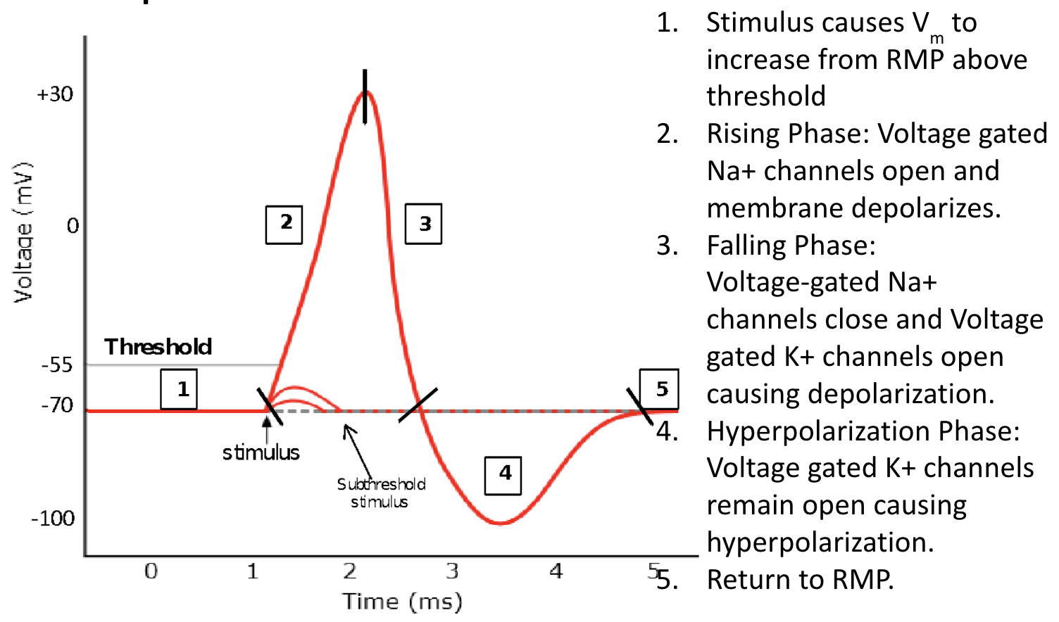 <p>If PNa equals PK, what is alpha?</p>