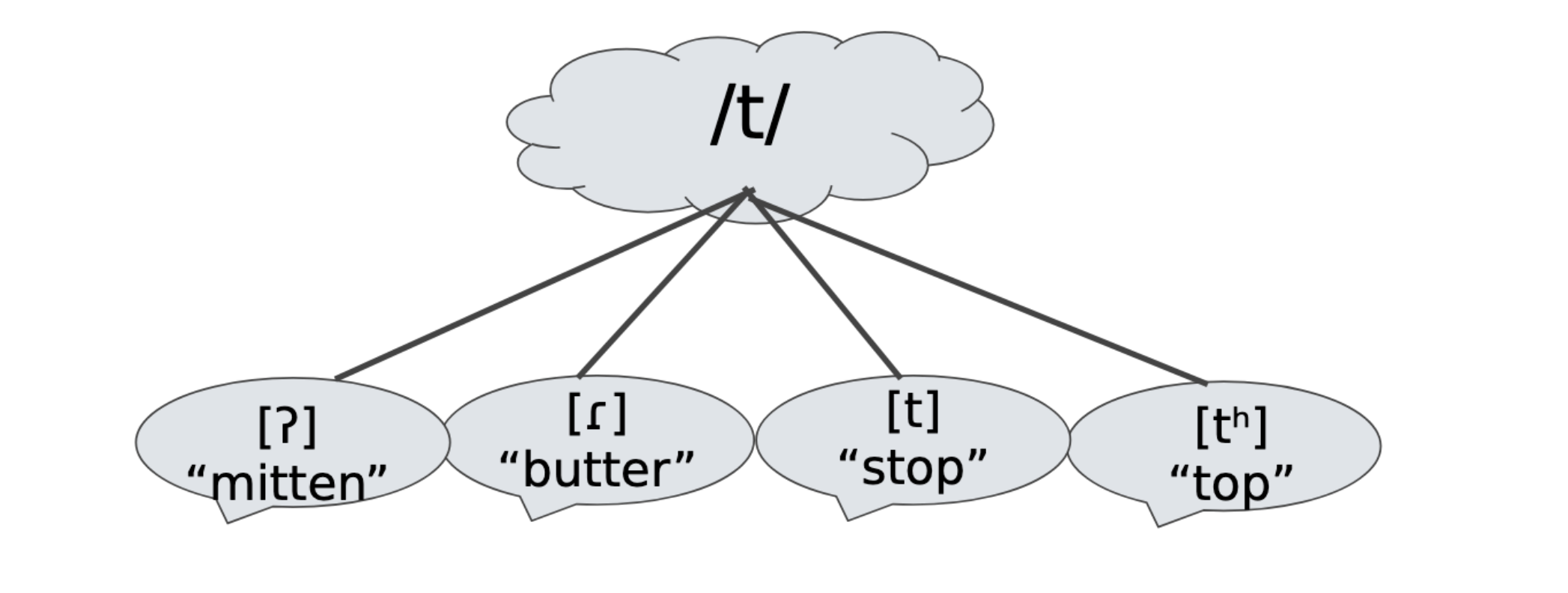 <p>- Phonemes signal a contrast in meaning b/w two words</p><p>- Allophones don't indicate a contrast in meaning → they're variations of the same phoneme</p>