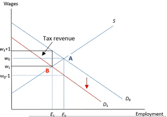 <p>> Increases the cost of hiring a unit of labour for the firm, shifting the Demand curve down</p><p>> The new equilibrium wage is w1 + the new equilibrium employment is E1 (Point A to B)</p><p>> The firm, however, is paying the wage w1+1</p>