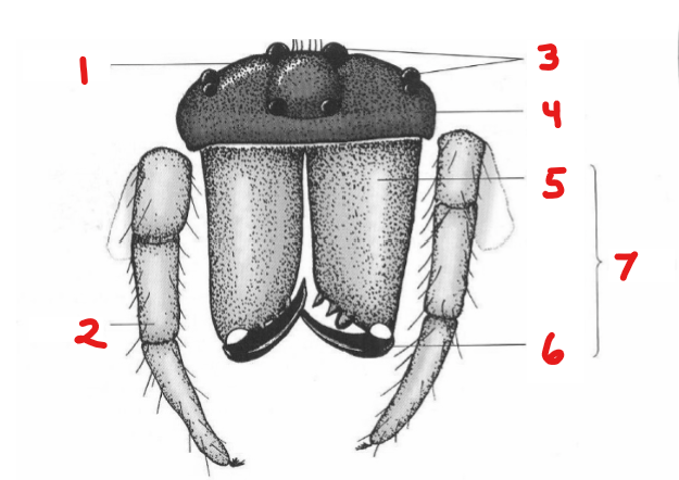 <p>2</p>