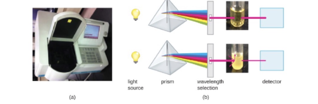 <p>We can measure turbidity through a <strong>spectrophotometer</strong></p>