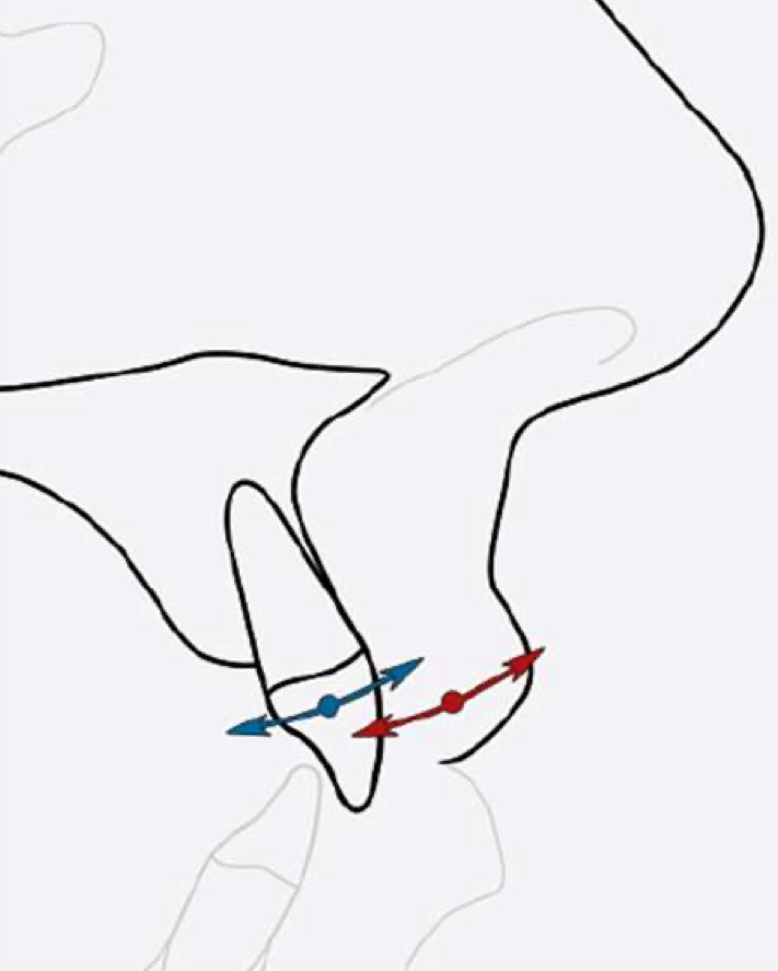 <p>what relationship is being shown here?</p>