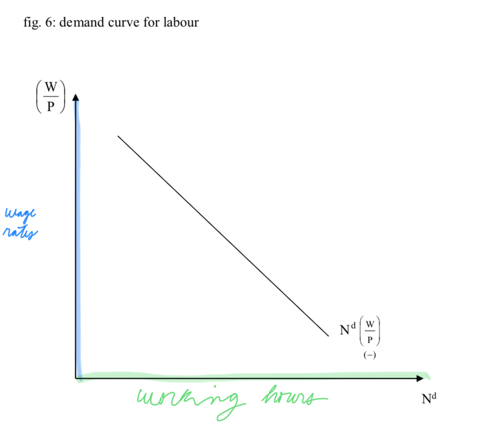 <p>Demand Curve for Labor</p>