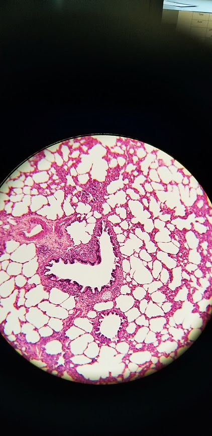 <p>what is this a sample of?</p>