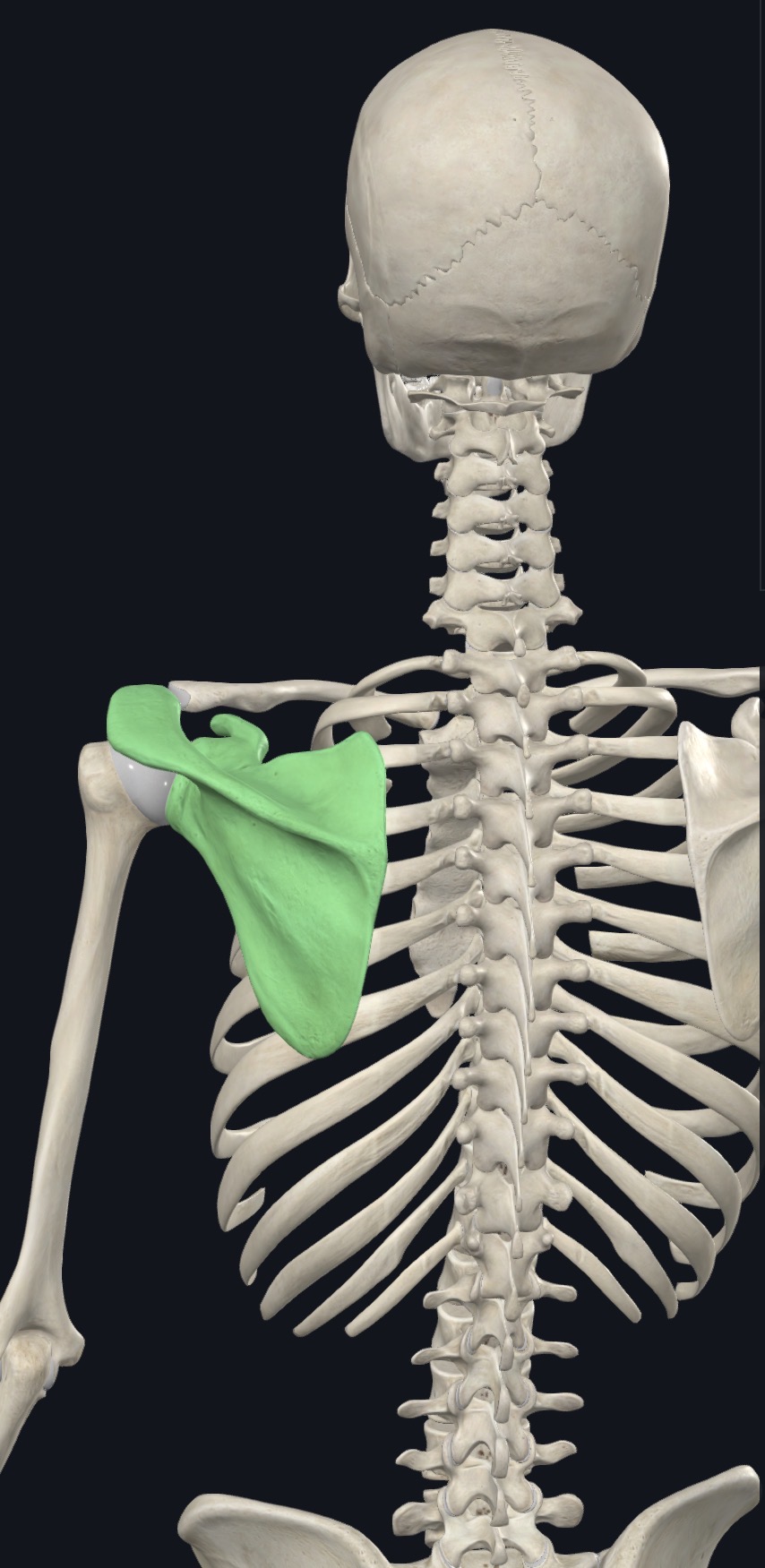 <p>what is this?</p>