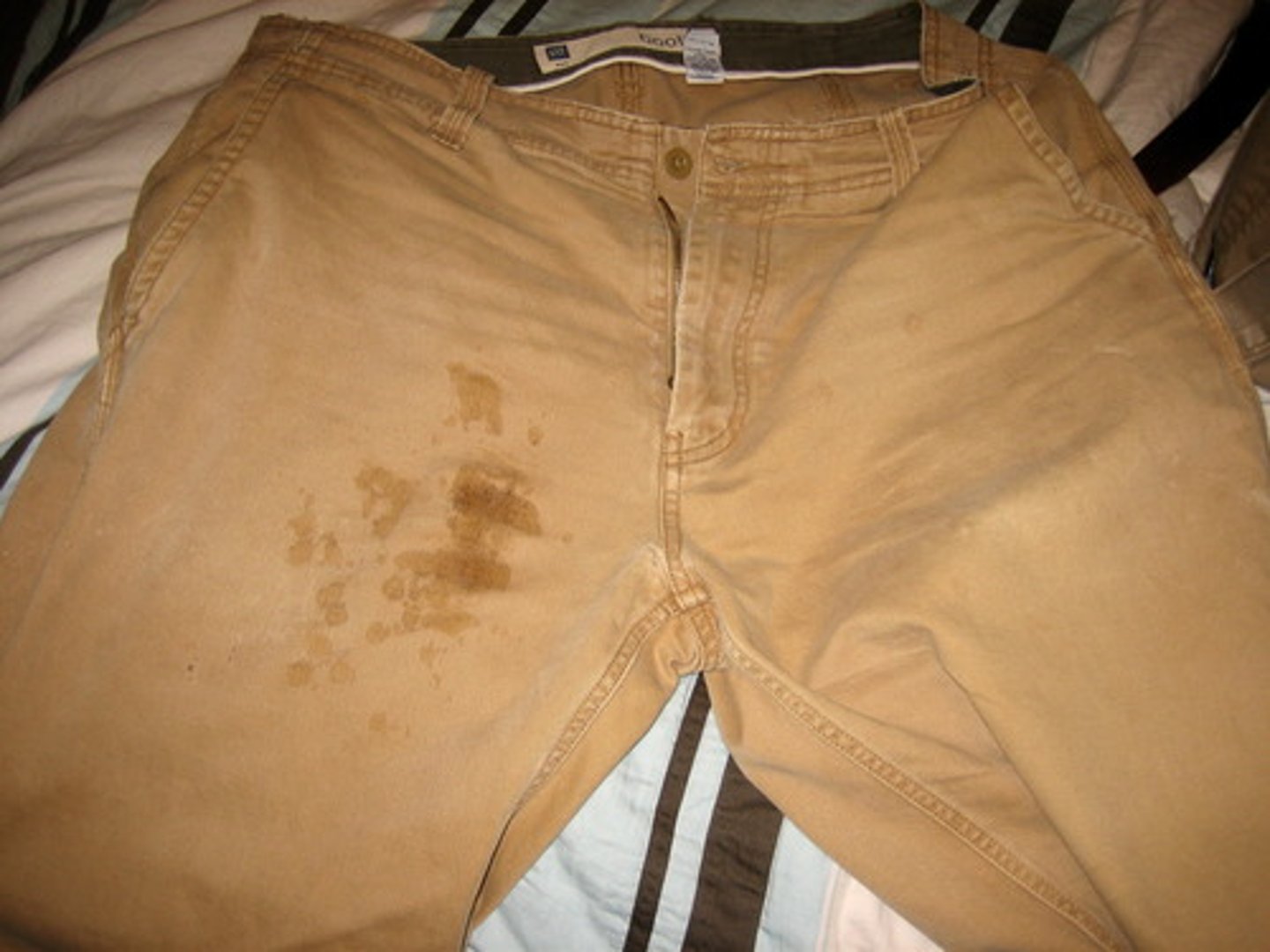 <p>Bancha</p>
