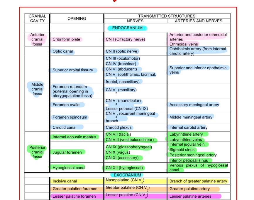 <p>IN EXAM READ </p>
