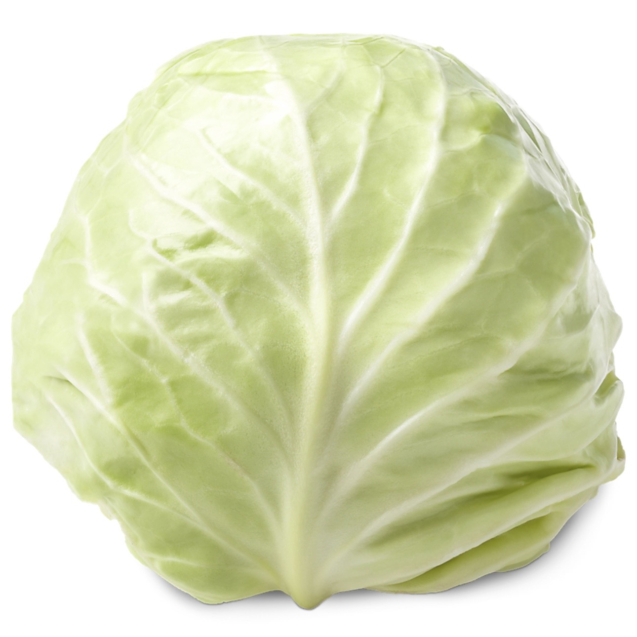 <p>Green cabbage</p>