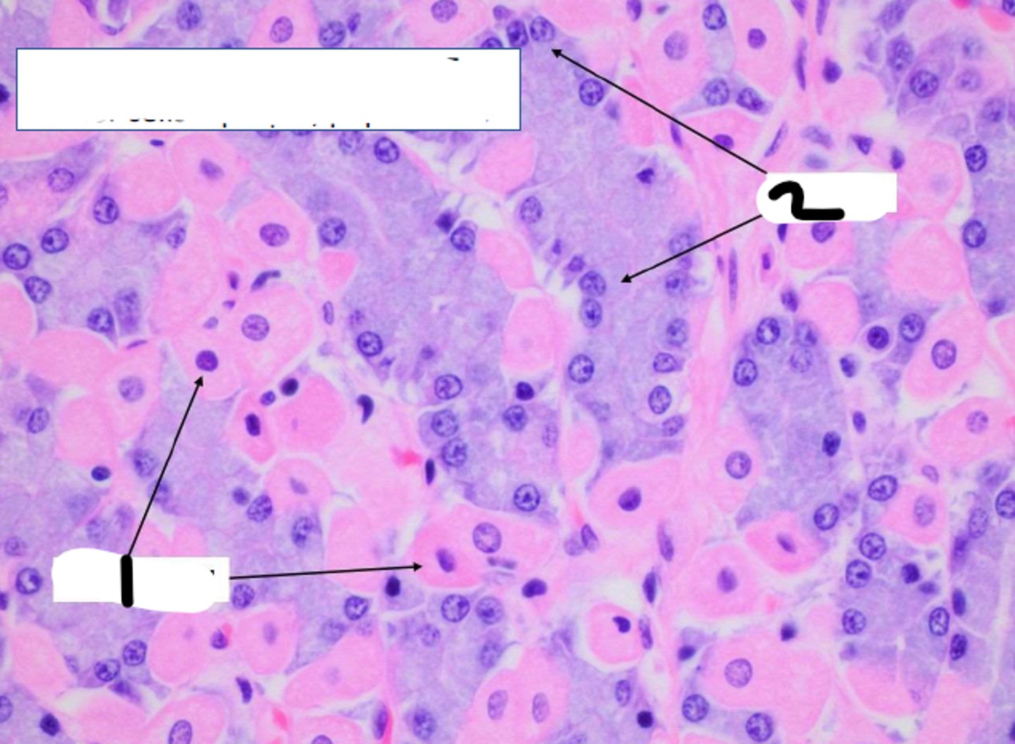 <p>2</p>