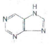 <p><strong>IDENTIFY THE NITROGEN-CONTAINING RING STRUCTURE:</strong></p>