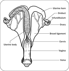 <p>For your reference</p>